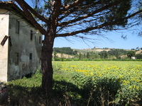 IMG_3913.JPG