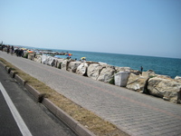 IMG_3966.JPG