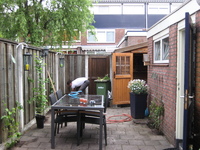 IMG_3678.jpg