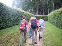 IMG_4090.jpg
