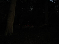 IMG_4119.jpg