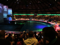 IMG_5486.JPG