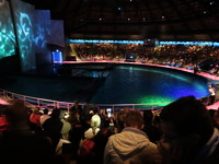 IMG_5489.JPG