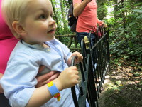 IMG_5648.JPG