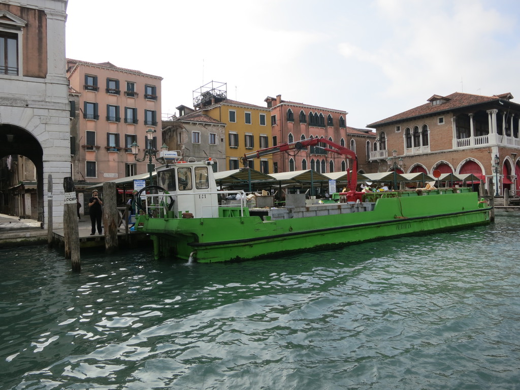 IMG_3037.jpg