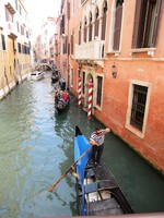 IMG_3001.jpg
