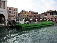 IMG_3037.jpg