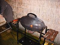 IMG_2351.jpg
