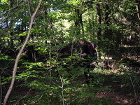IMG_3160.jpg