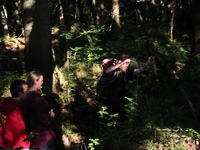 IMG_3161.jpg