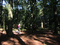 IMG_3164.jpg