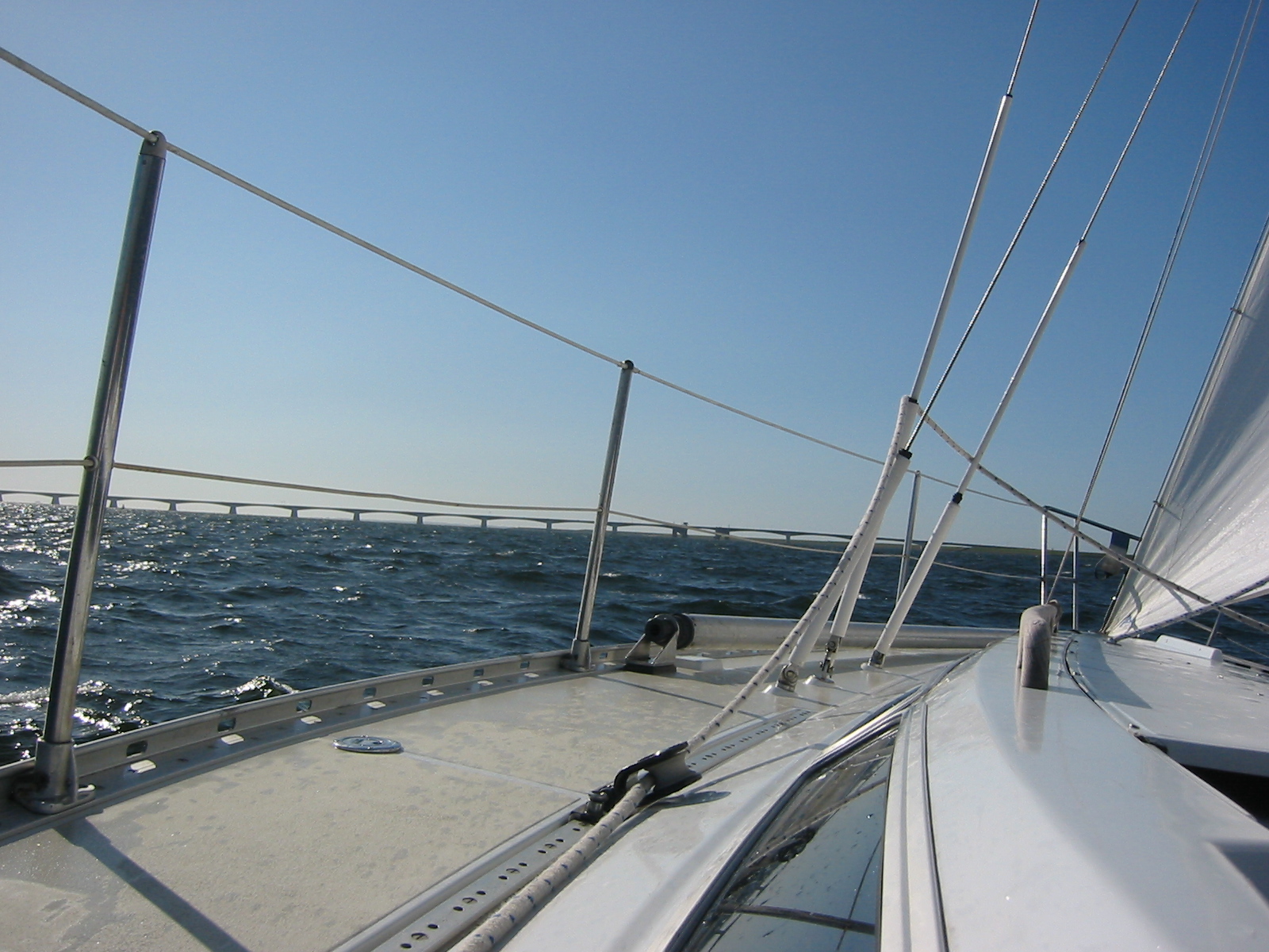 IMG_2845.jpg