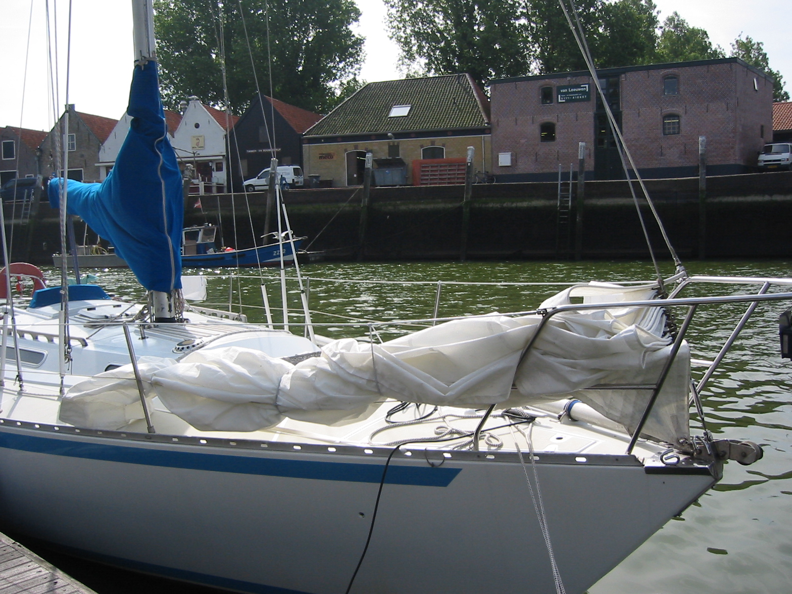 IMG_2864.jpg
