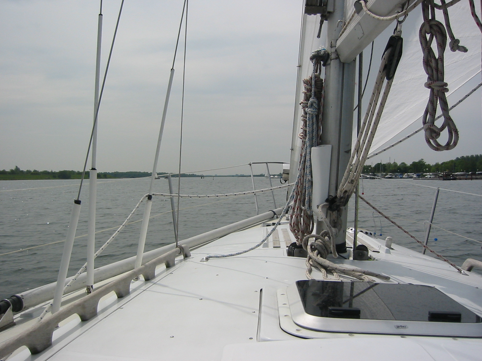 IMG_2870.jpg