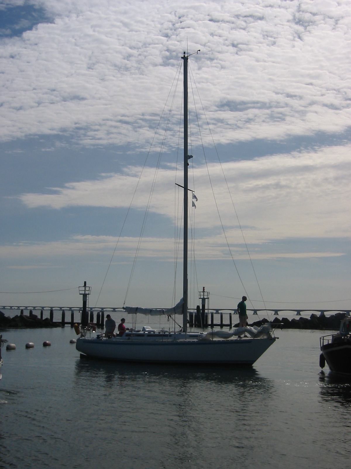 IMG_2922.jpg