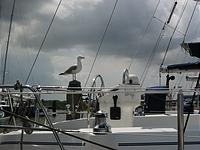 IMG_2833.jpg