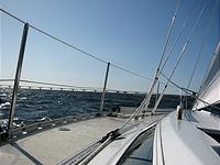 IMG_2845.jpg