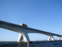 IMG_2846.jpg