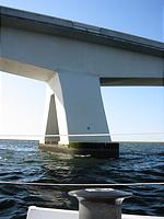 IMG_2847.jpg