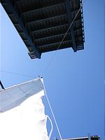 IMG_2850.jpg