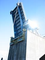 IMG_2851.jpg
