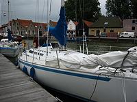 IMG_2862.jpg
