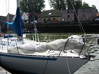 IMG_2864.jpg