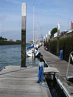 IMG_2865.jpg
