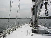 IMG_2870.jpg