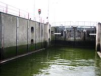 IMG_2890.jpg
