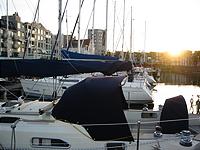 IMG_2893.jpg