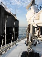 IMG_2895.jpg