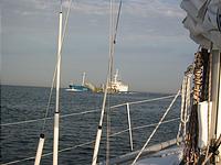 IMG_2898.jpg