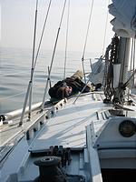 IMG_2905.jpg