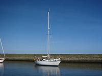 IMG_2917.jpg