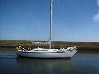 IMG_2919.jpg