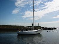 IMG_2920.jpg