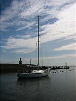 IMG_2921.jpg