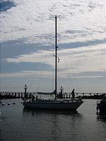 IMG_2922.jpg