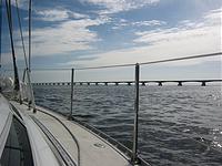 IMG_2923.jpg