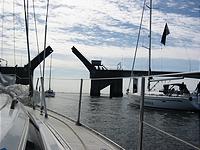 IMG_2929.jpg