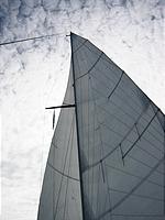 IMG_2933.jpg