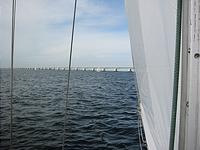 IMG_2937.jpg