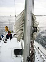 IMG_2943.jpg