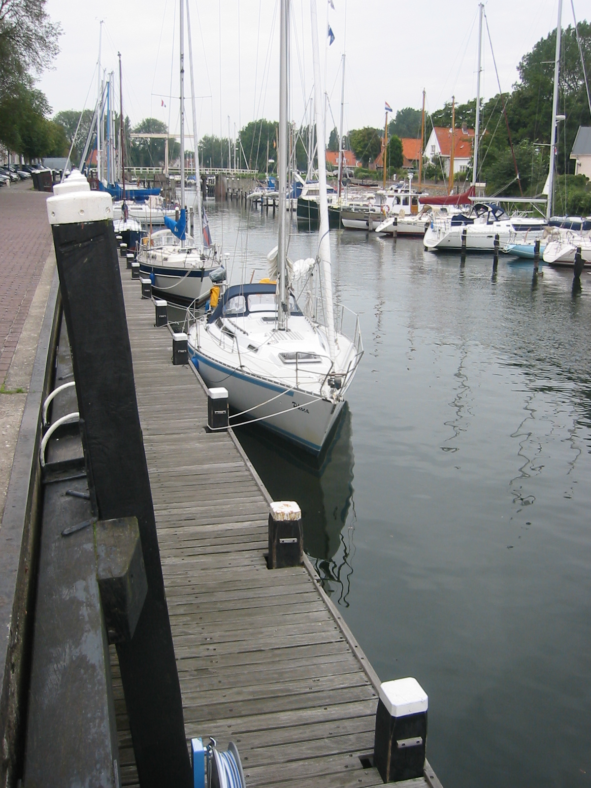 IMG_3826.jpg