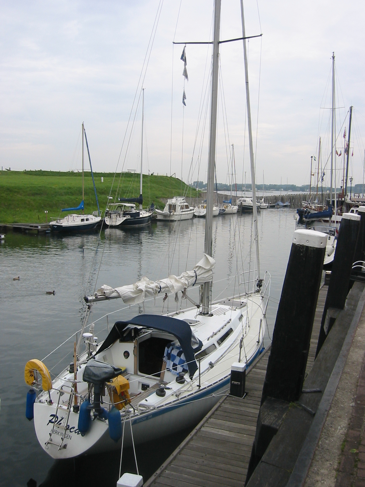 IMG_3828.jpg
