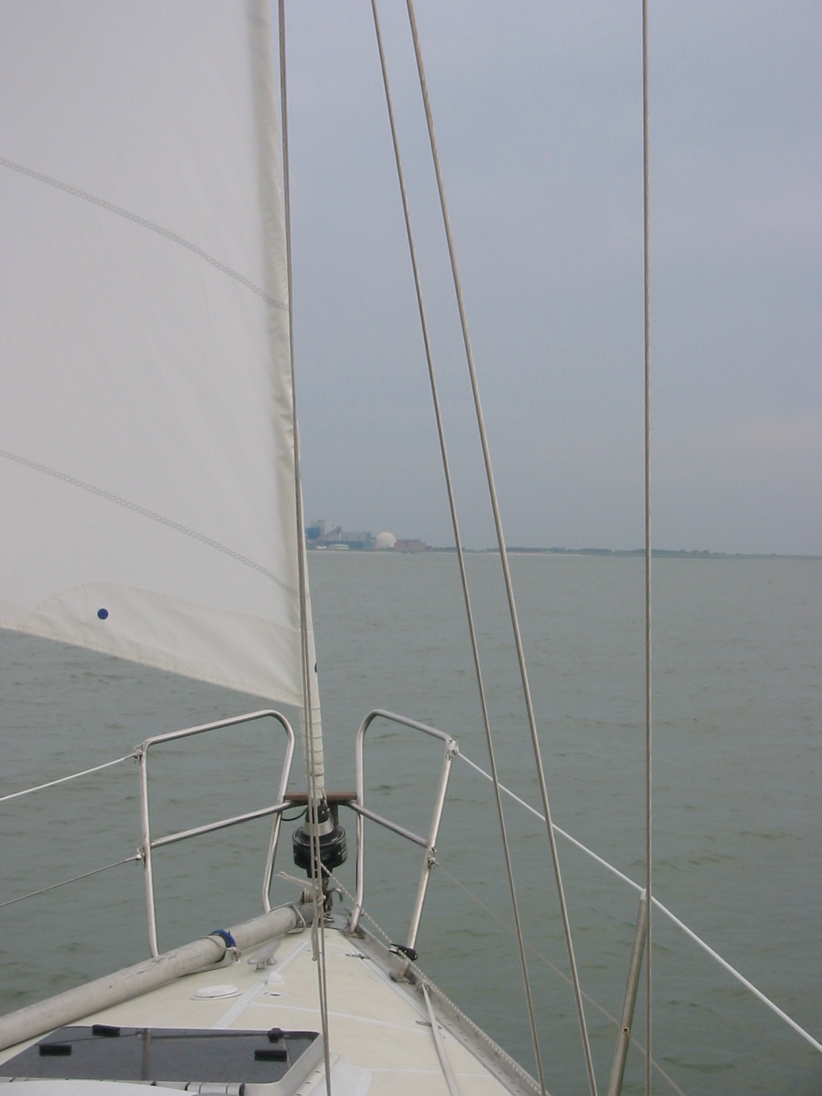 IMG_3835.jpg