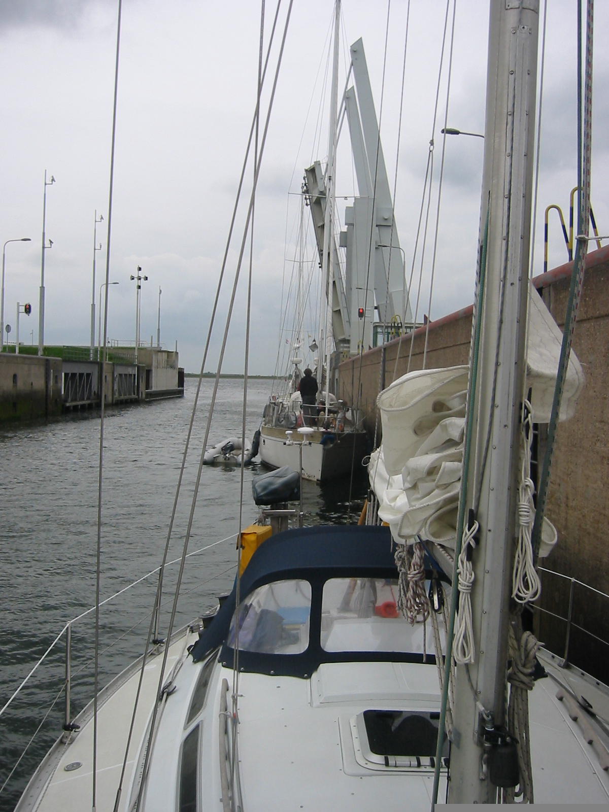 IMG_3843.jpg