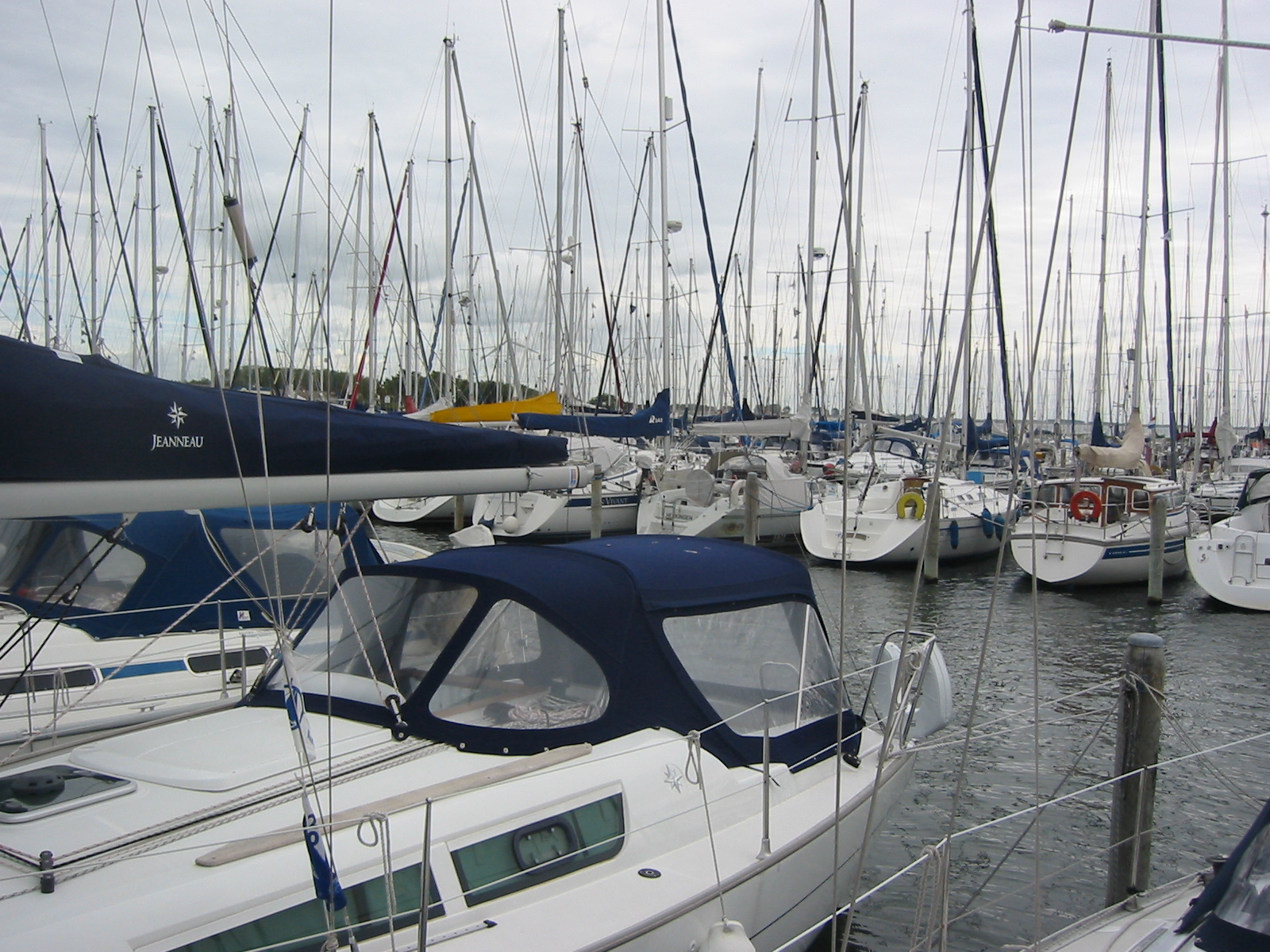 IMG_3870.jpg