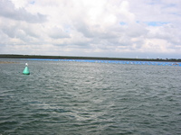 IMG_3816.jpg